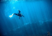 underwater_snorkeling